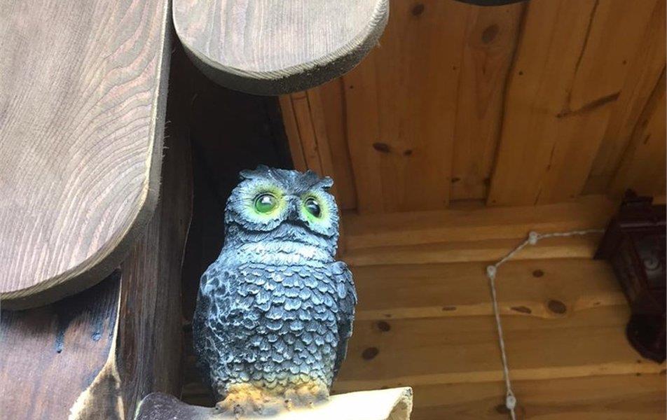 Парк-Отель Березка 3*