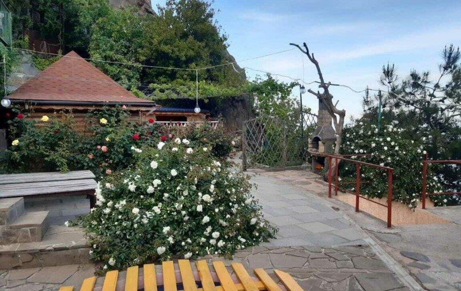 Cat пос. Партенит 0*