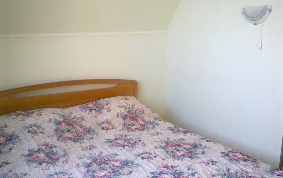 Cat пос. Партенит 0*