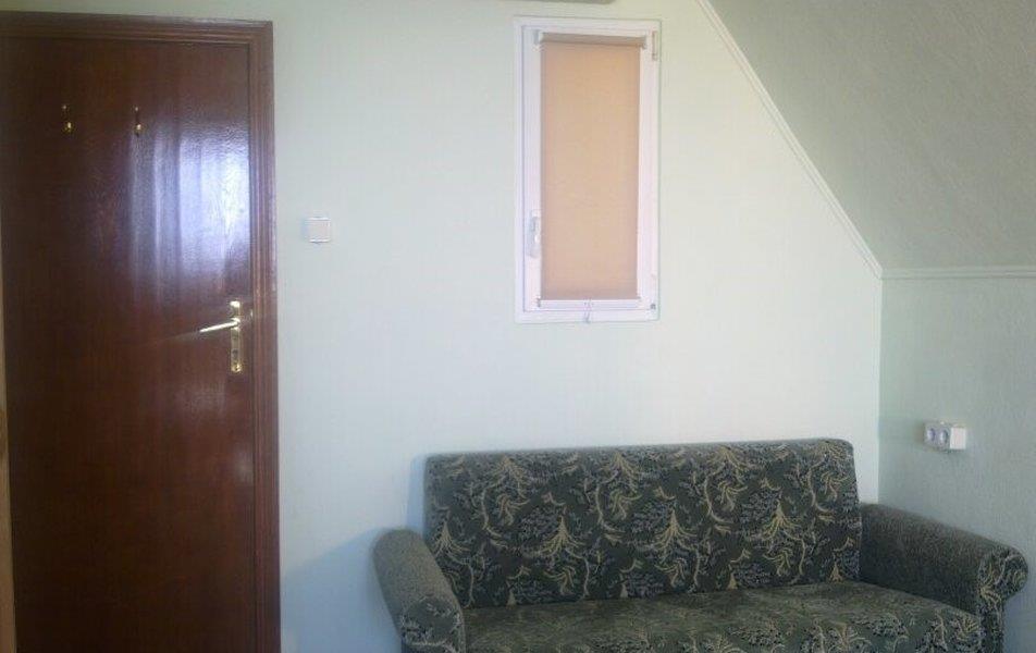 Cat пос. Партенит 0*