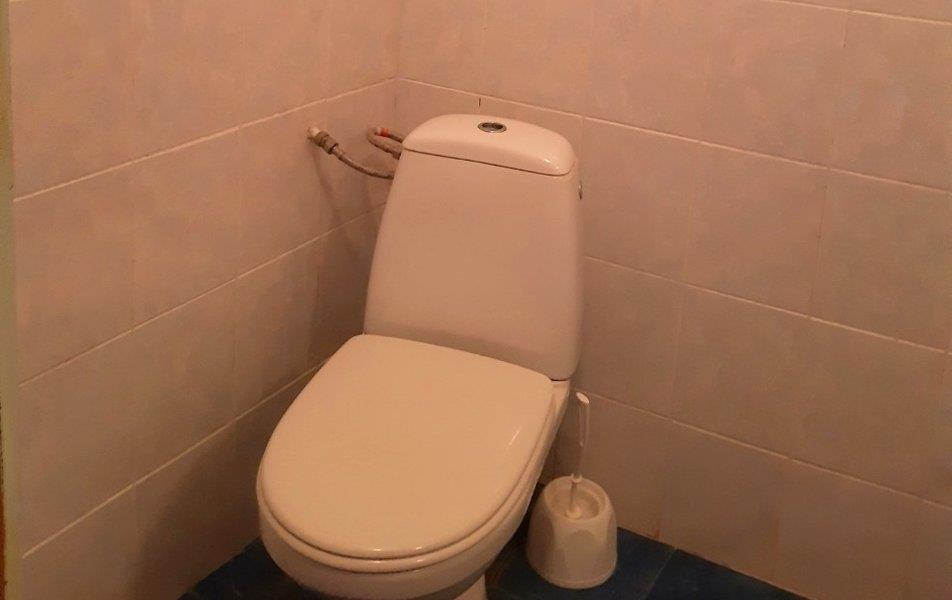 Cat пос. Партенит 0*