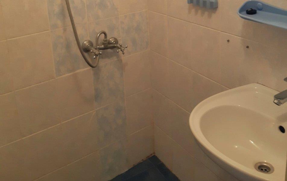 Cat пос. Партенит 0*