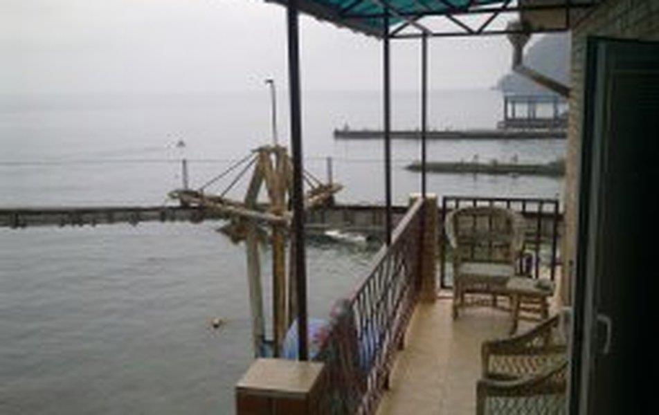 Cat пос. Партенит 0*