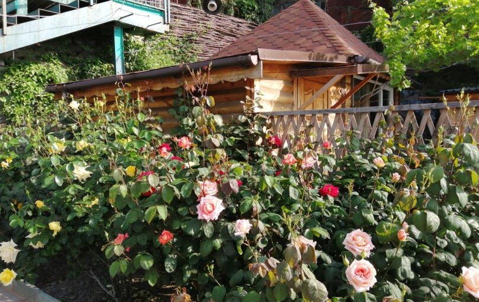 Cat пос. Партенит 0*