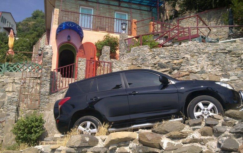 Cat пос. Партенит 0*