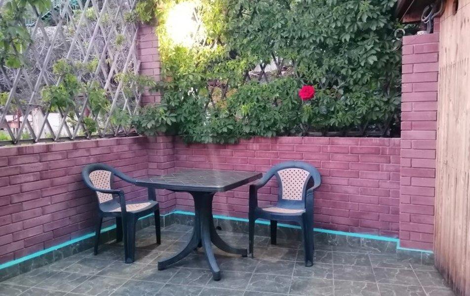 Cat пос. Партенит 0*