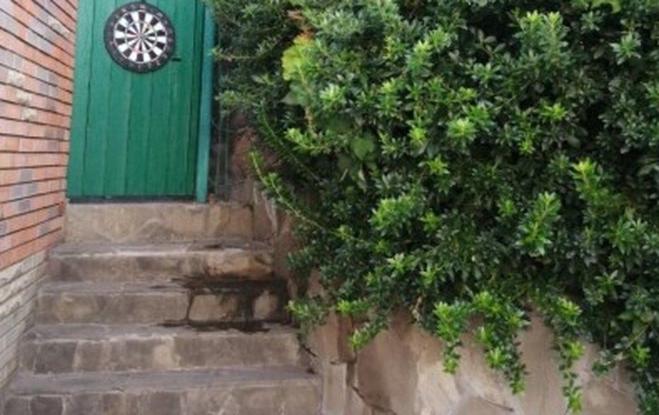 Cat пос. Партенит 0*