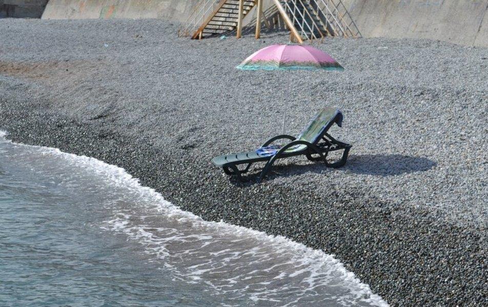 Cat пос. Партенит 0*