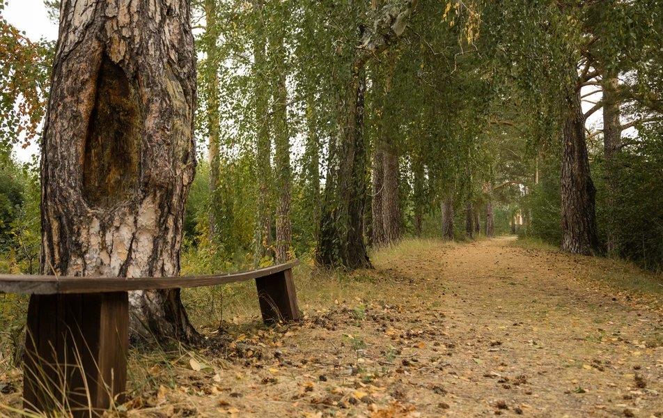 База отдыха Аракуль 0*