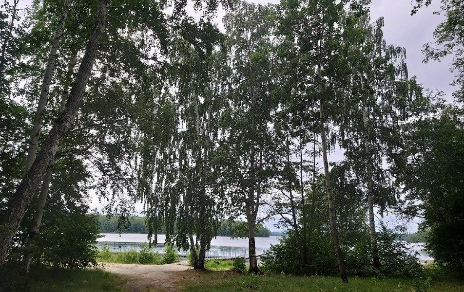 База отдыха Светлячок (Сайма) 0*