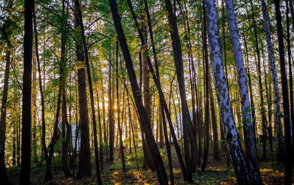 База отдыха Светлячок (Сайма) 0*