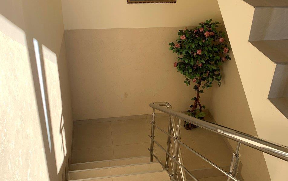 Грация (ул. Тюльпанов) 0*