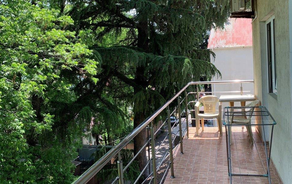 Грация (ул. Тюльпанов) 0*