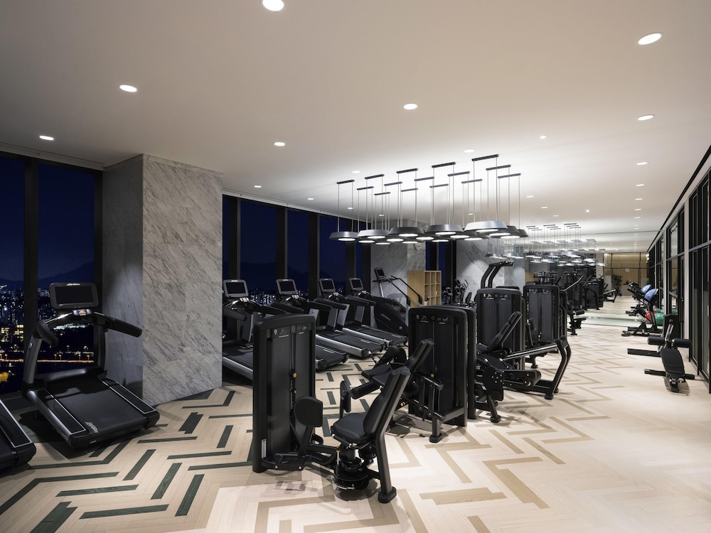 Novotel Ambassador Seoul Yongsan 5*