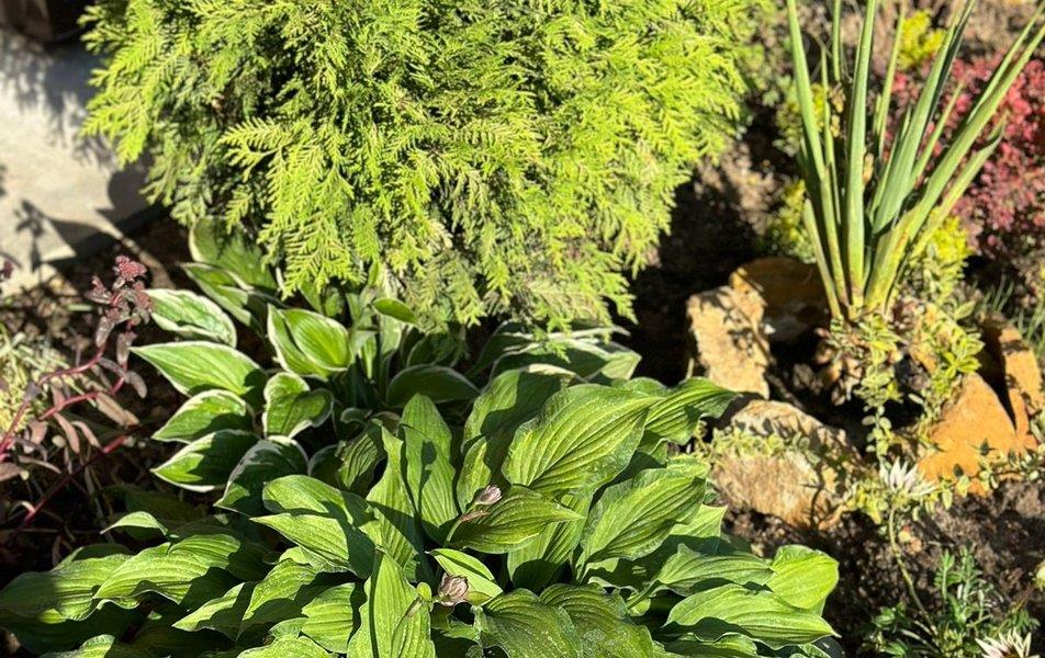 Гостиный Дворъ 0*