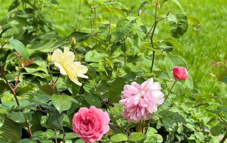 Гостиный Дворъ 0*