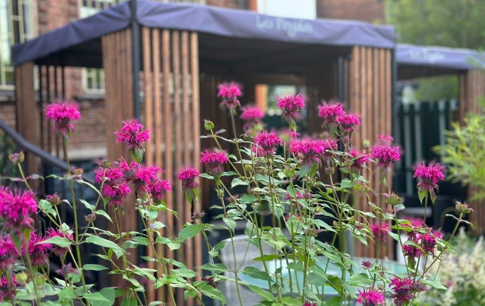 Гостиный Дворъ 0*