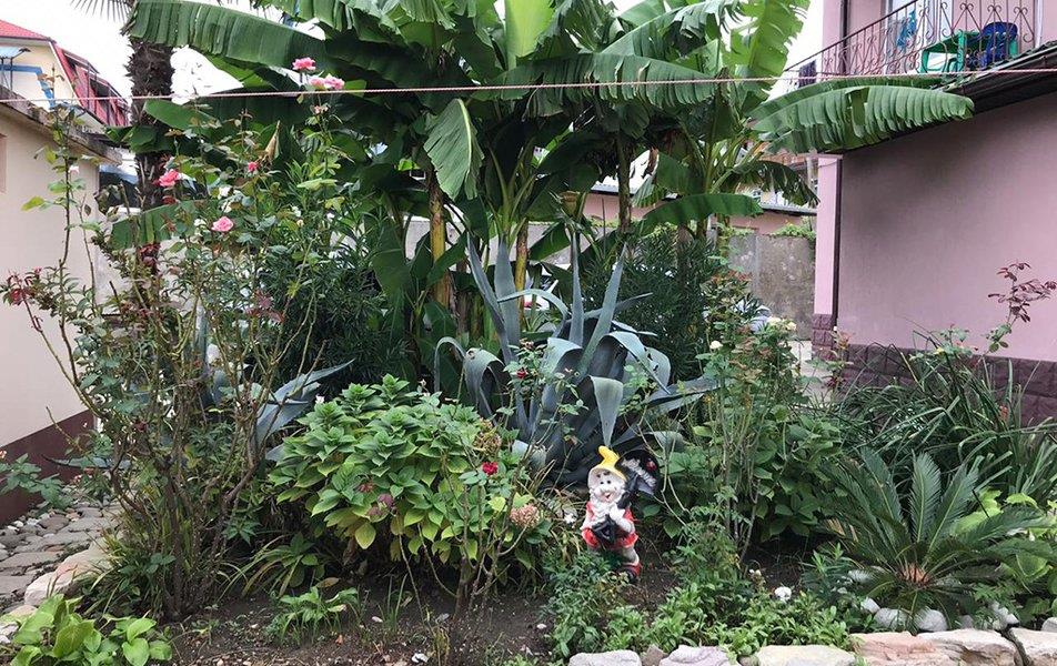 НикОль (Лоо) 0*