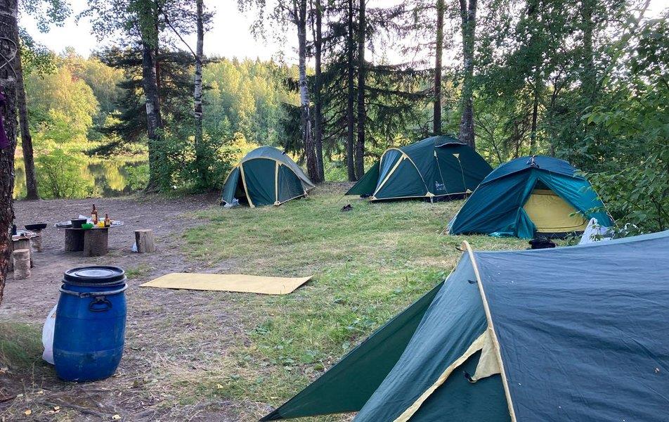 База отдыха Хитрый Лис 0*