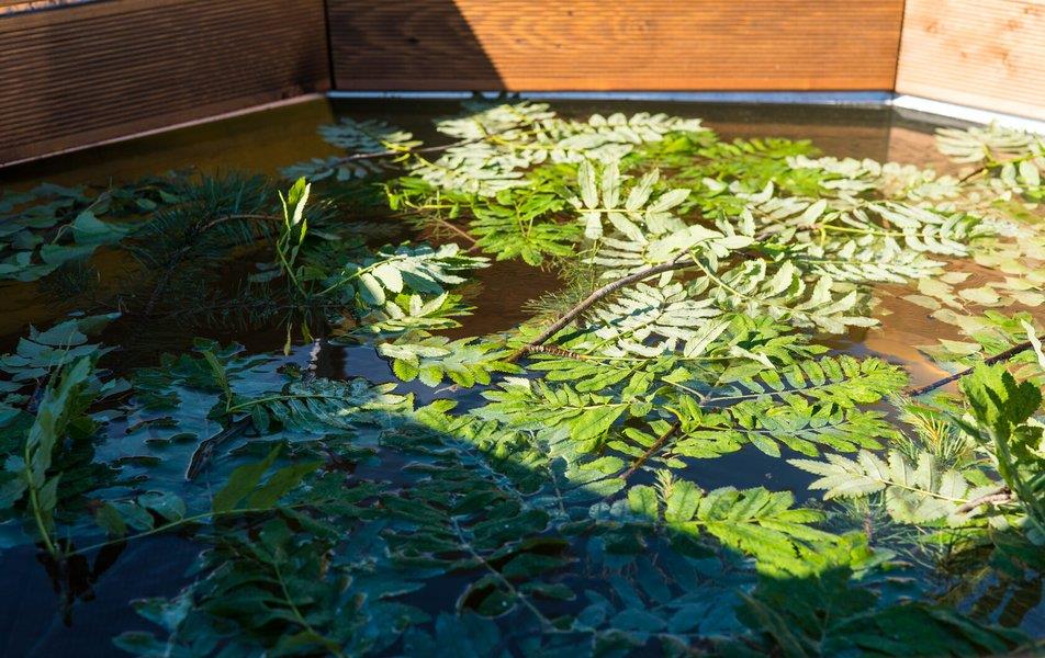 База отдыха Хитрый Лис 0*