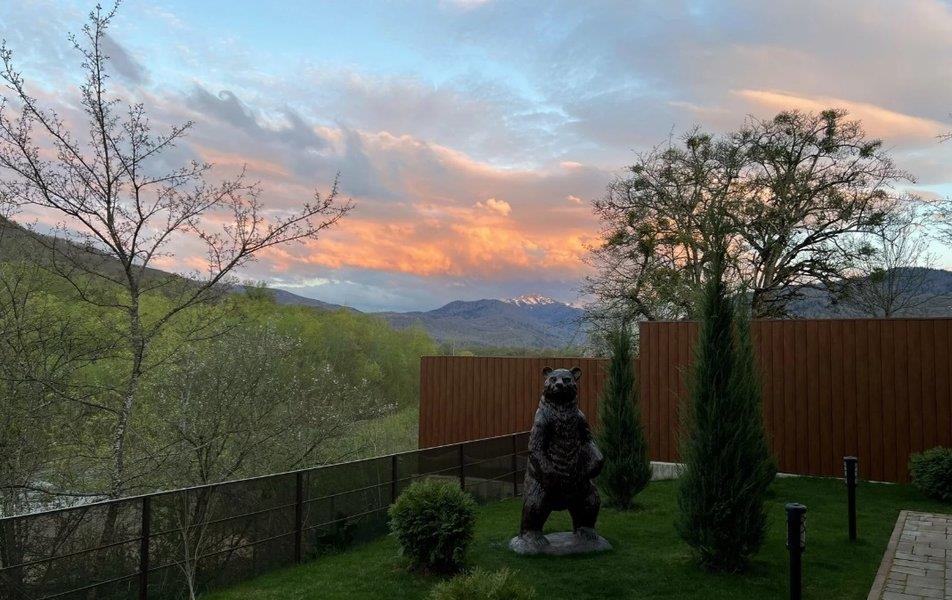 Отель Династия 4*