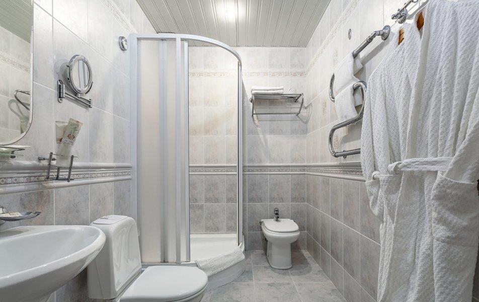 Престиж Отель (Просвещения 163) 4*