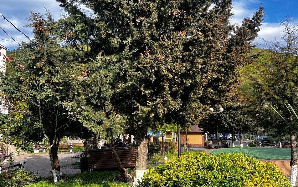 Отель Небуг 0*