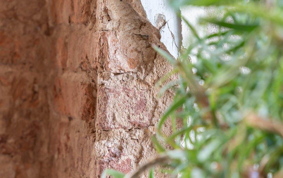 Корюшка пошла 0*