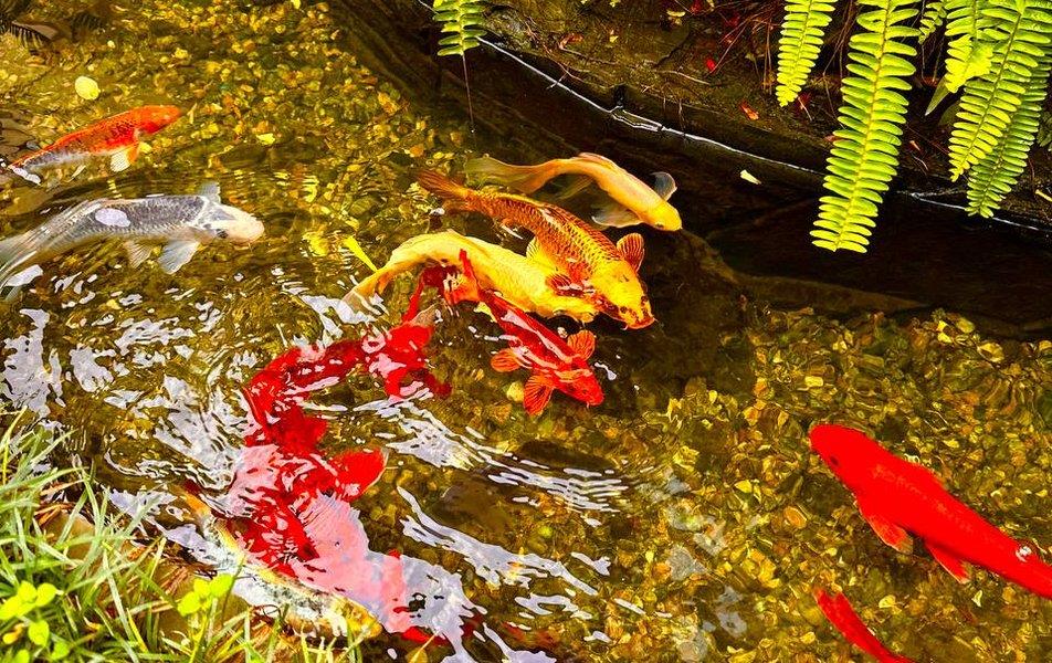 Белый парус гостевой дом 0*