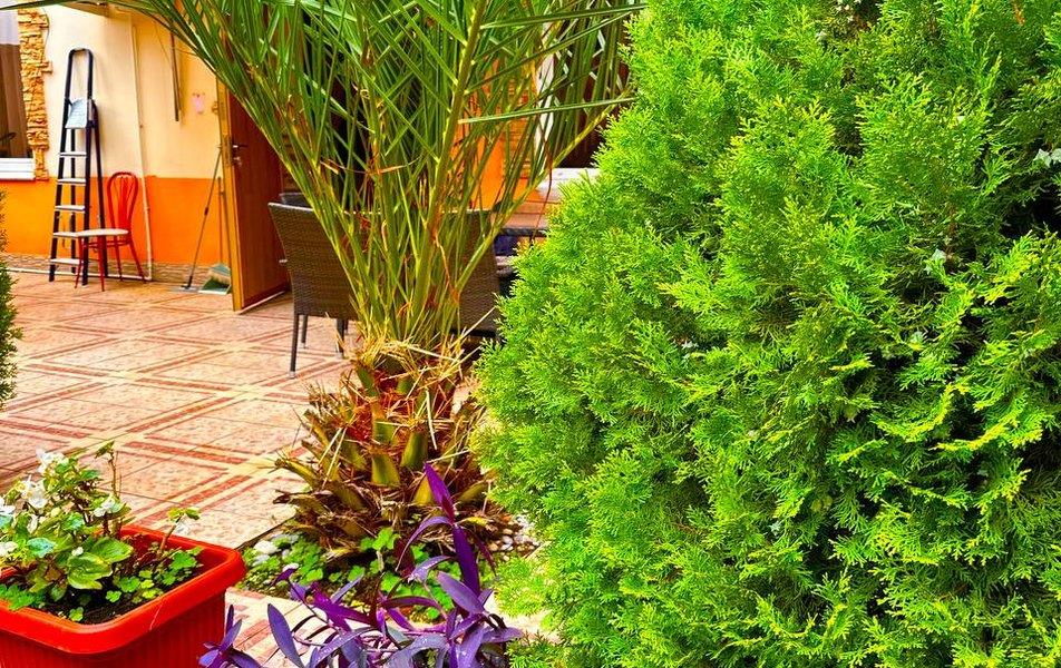 Белый парус гостевой дом 0*