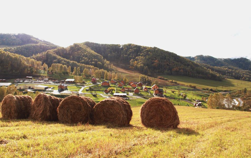 Басаргино 0*