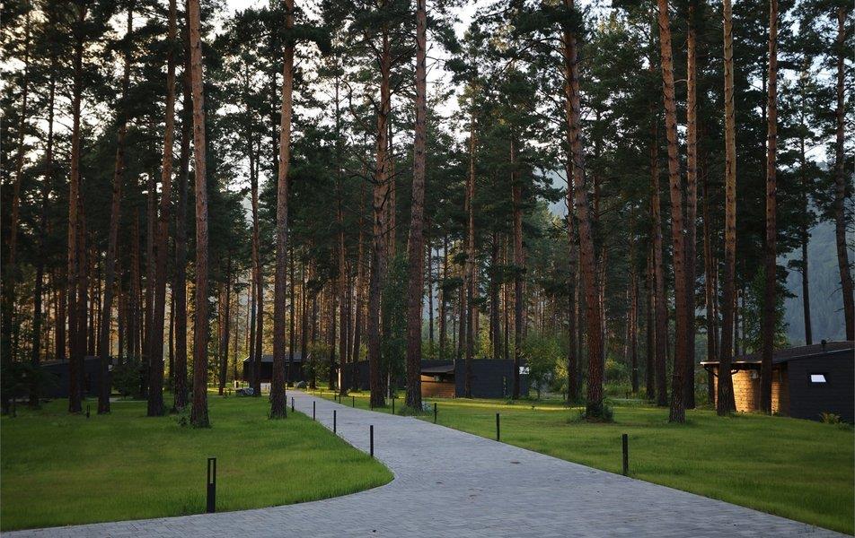 Хвоя в горах 5*