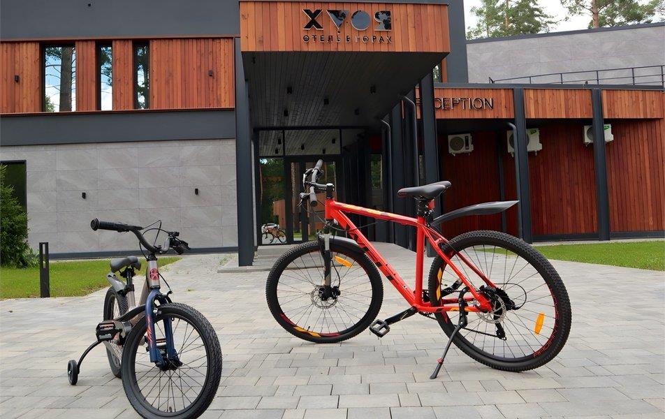 Хвоя в горах 5*