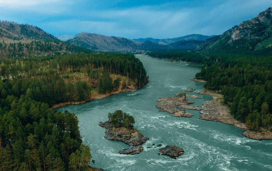 Хвоя в горах 5*