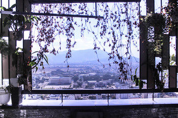 Gold Ocean Nha Trang 3*