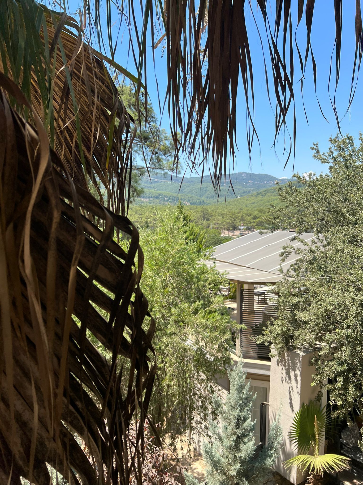 Hotel 212 Olympos 3*