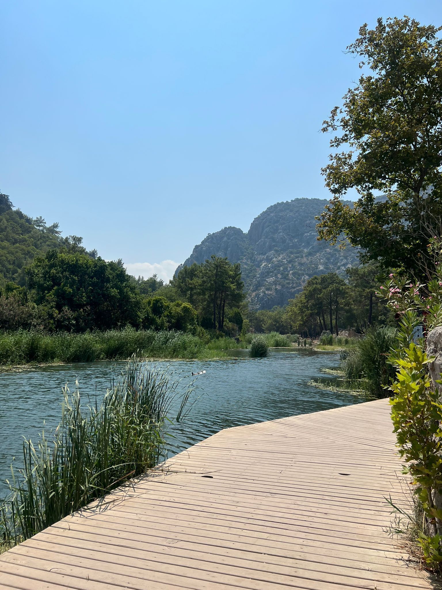 Hotel 212 Olympos 3*