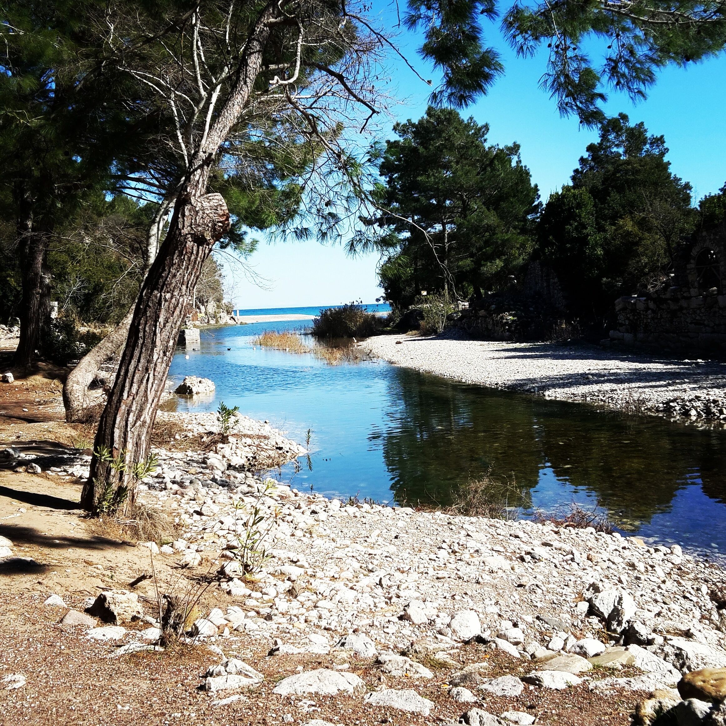 Hotel 212 Olympos 3*