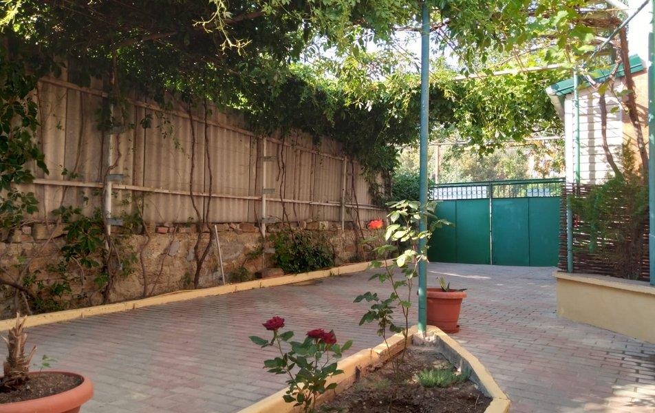 Миндальный 39 0*