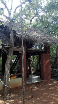 Back Of Beyond - Pidurangala 3*