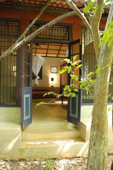 Back Of Beyond - Pidurangala 3*