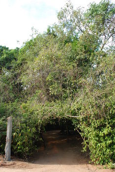 Back Of Beyond - Pidurangala 3*