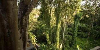 Labak River Hotel By Eps 4*