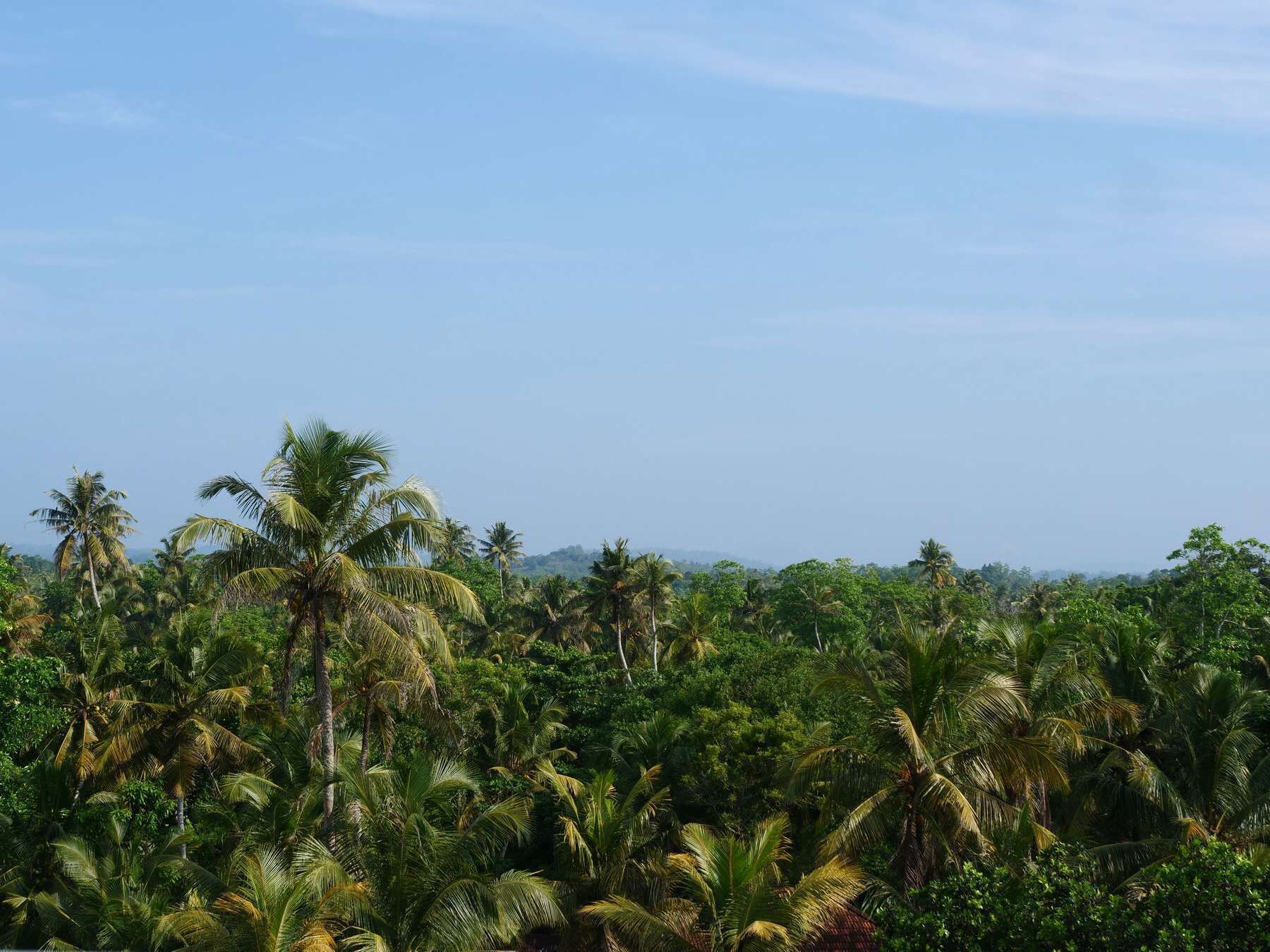 Coast 67 Boutique Hotel 4*