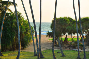 Ocean View 2*
