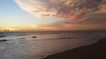 Ocean View 2*