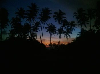 Ocean View 2*
