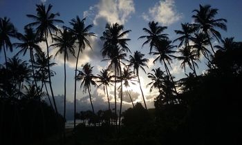 Ocean View 2*