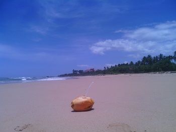 Ocean View 2*