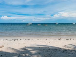 Jpark Island Resort Alona 4*